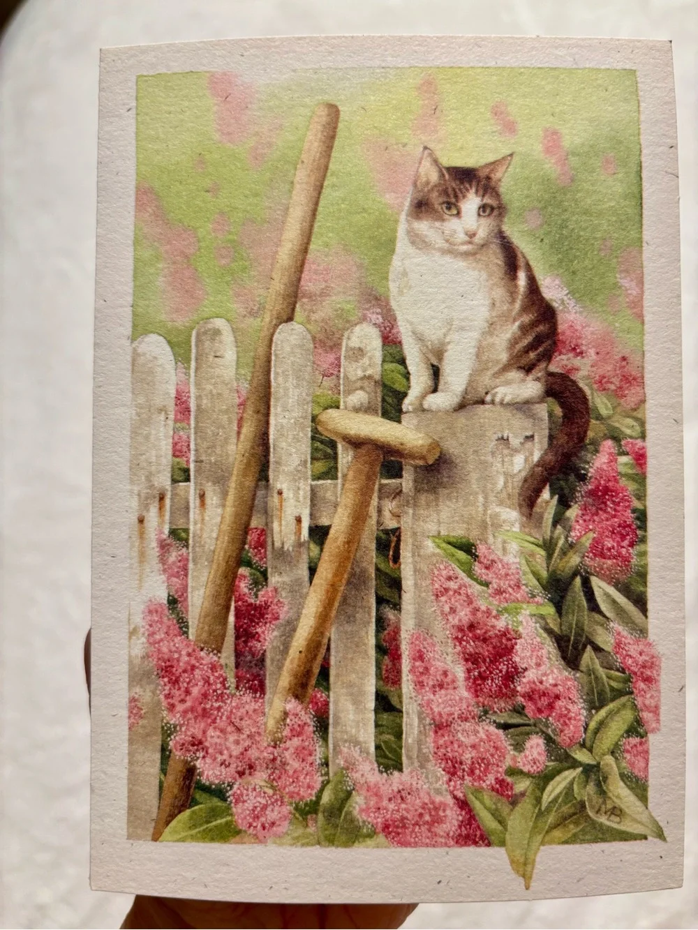 Cat artwork - Marjolein Bastin “A Place to Reflect” Hallmark cards blank (8)